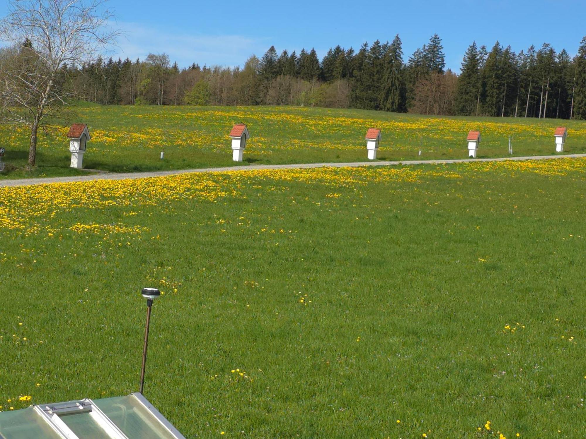 Apartament Alpenblick Leutkirch im Allgäu Pokój zdjęcie